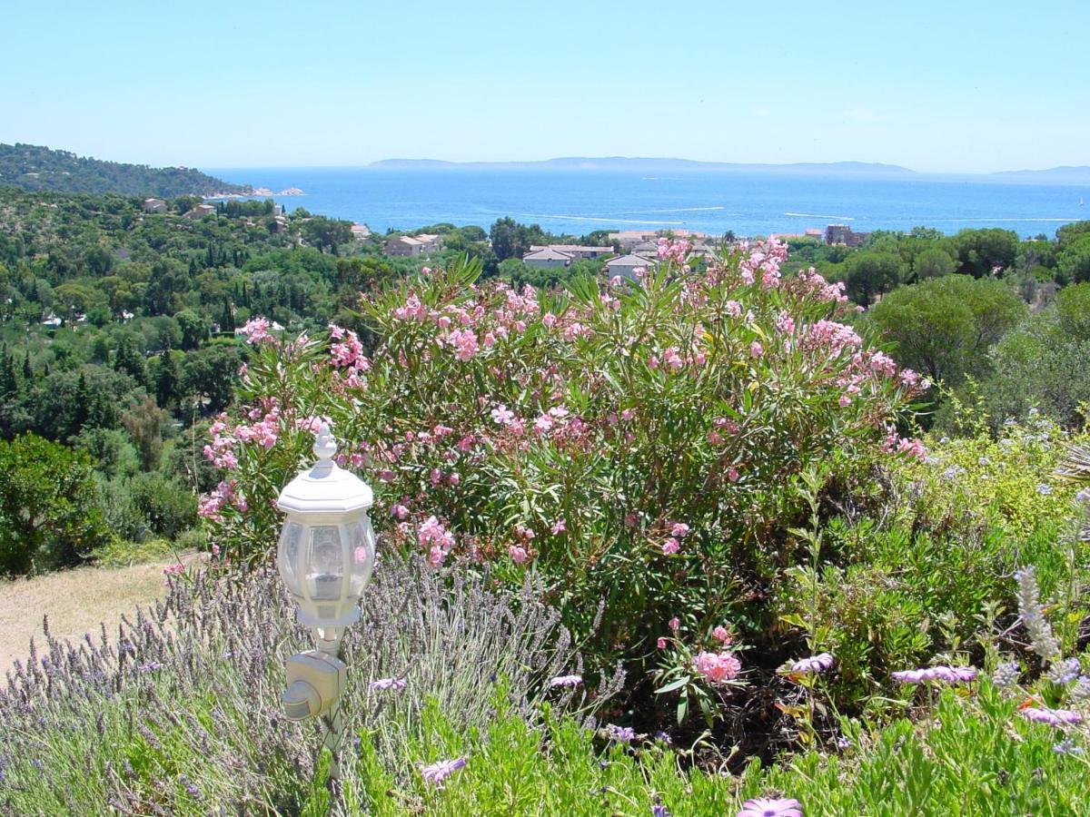 Azur Hotel Le Lavandou Exterior photo