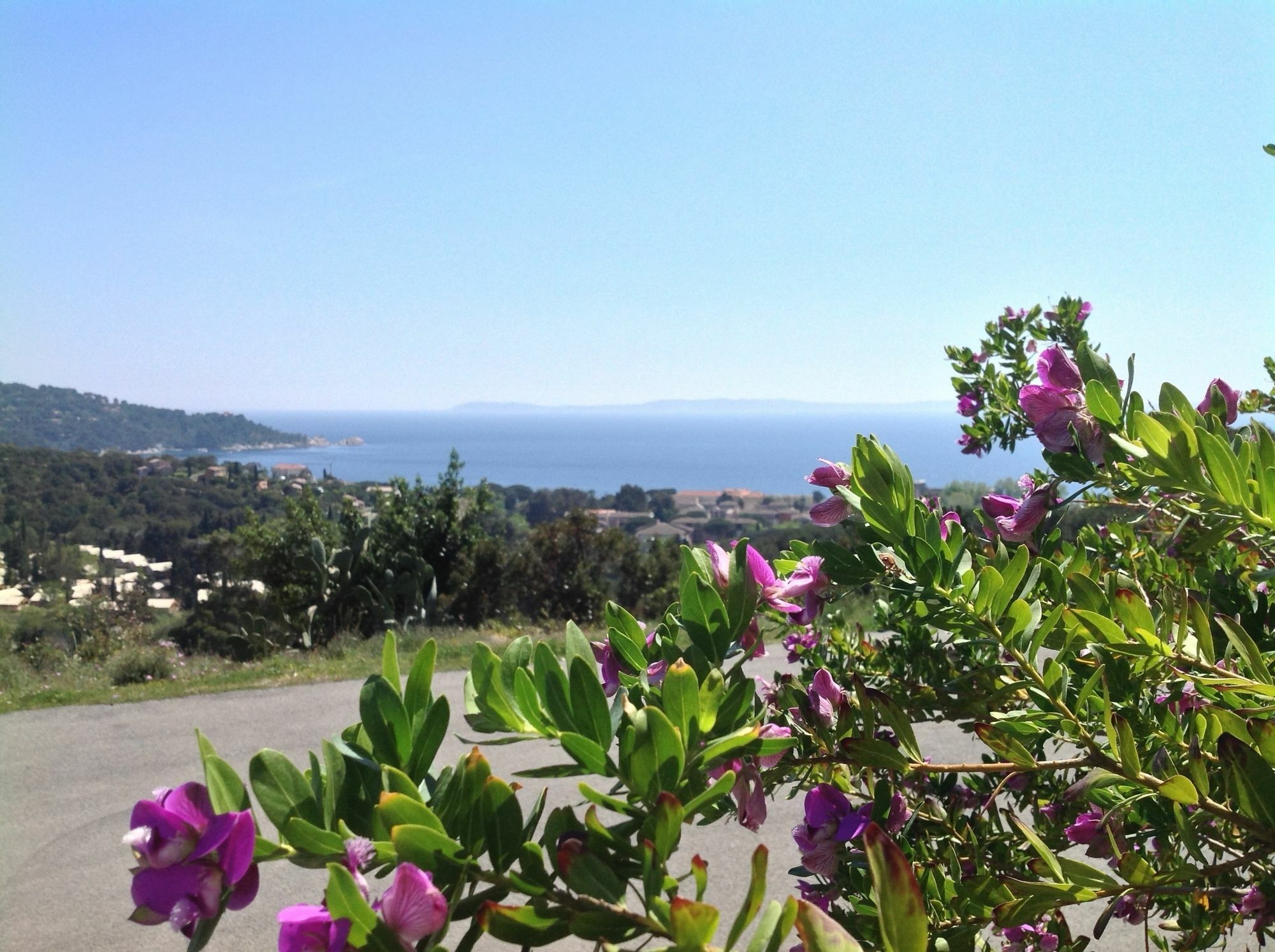 Azur Hotel Le Lavandou Exterior photo