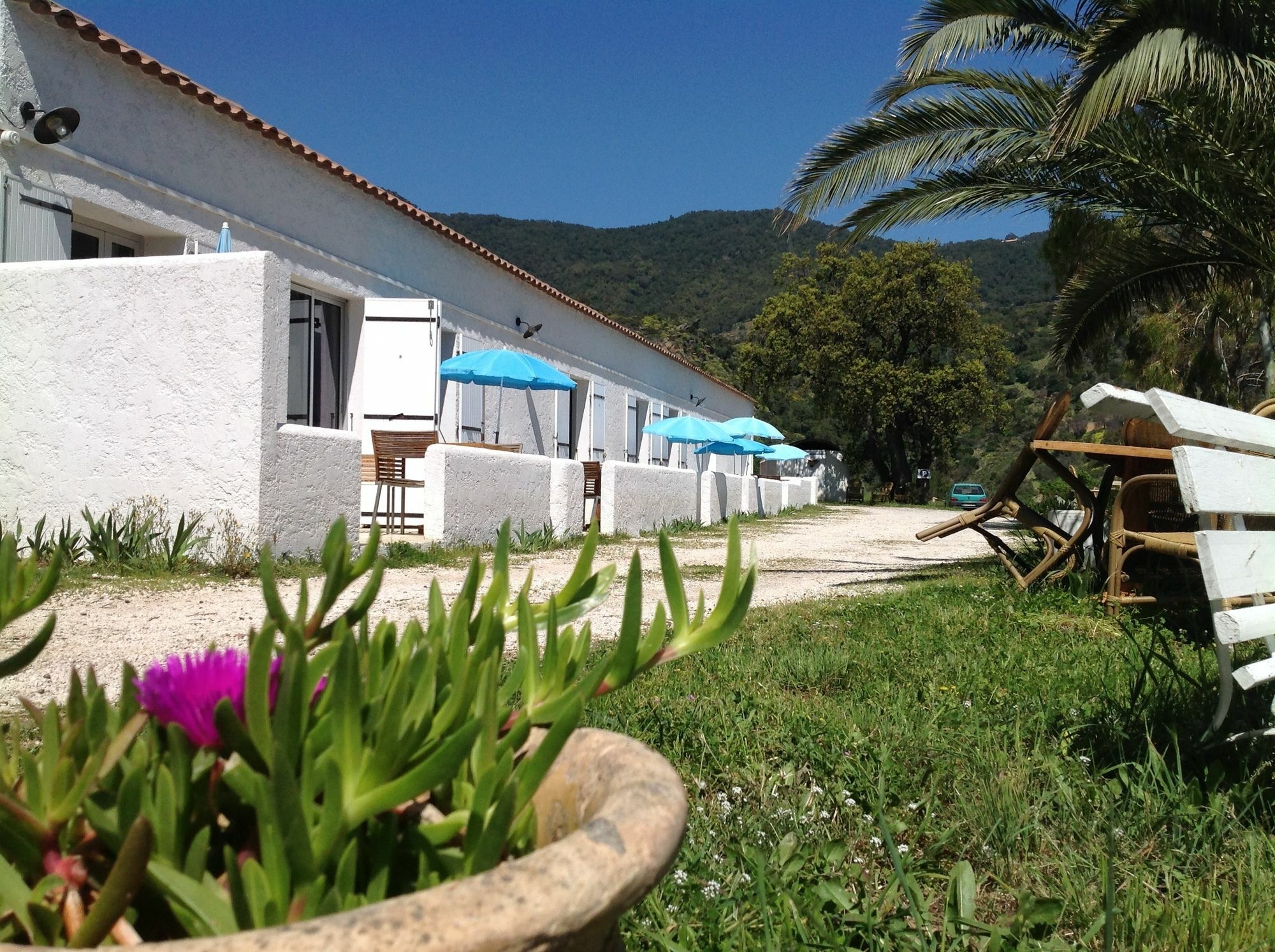 Azur Hotel Le Lavandou Exterior photo