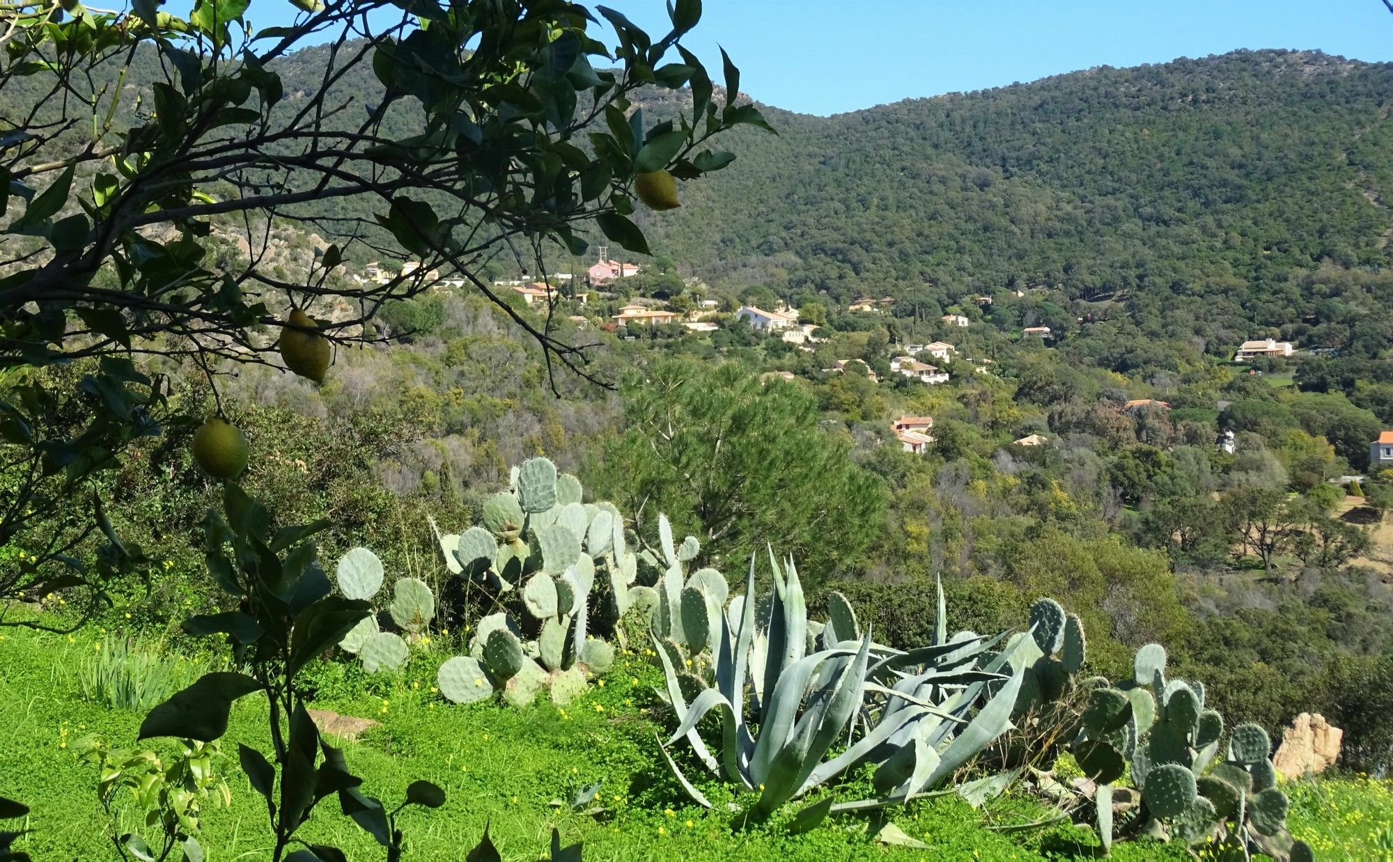 Azur Hotel Le Lavandou Exterior photo
